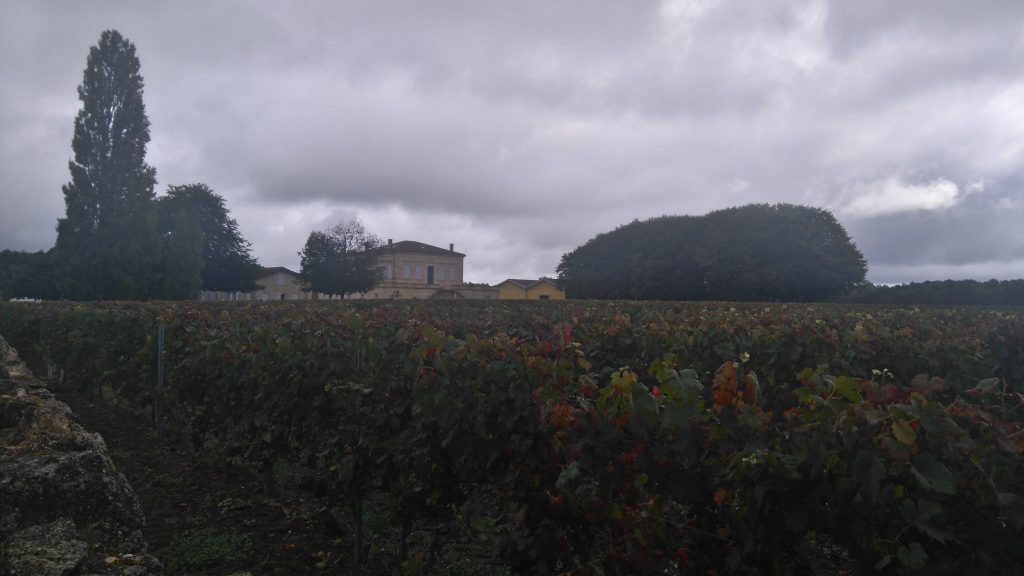 Les Allées de Vernous , Château Vernous - Médoc