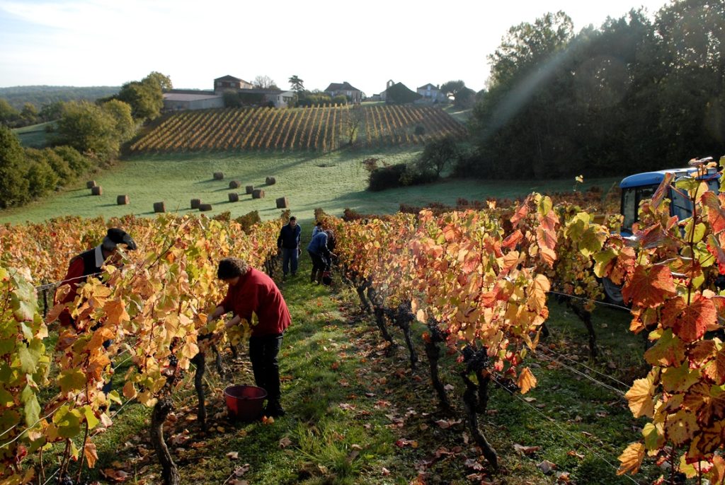 Weinbaugebiet Cahors